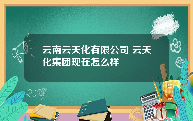 云南云天化有限公司 云天化集团现在怎么样